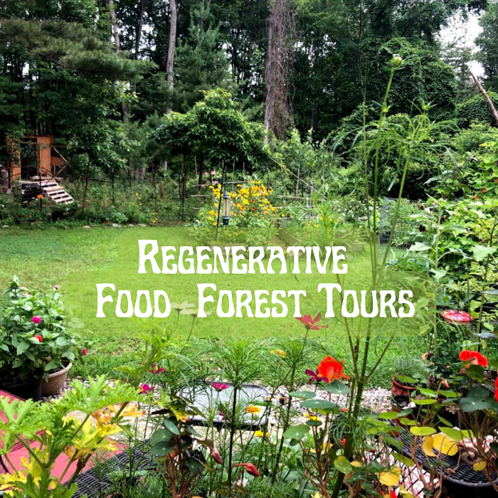 SKYDOG FARM, RHODE ISLAND
