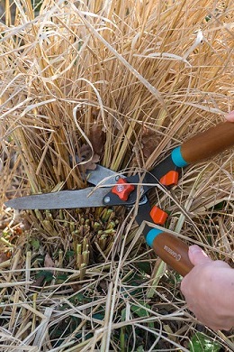 A PRUNING 5e5dd981-eb73-4024-98c5-d5784b528a4b