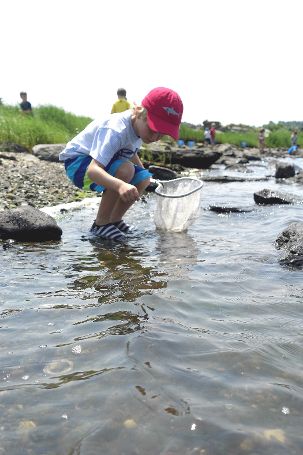 B AudubonExploretheShoreprogram