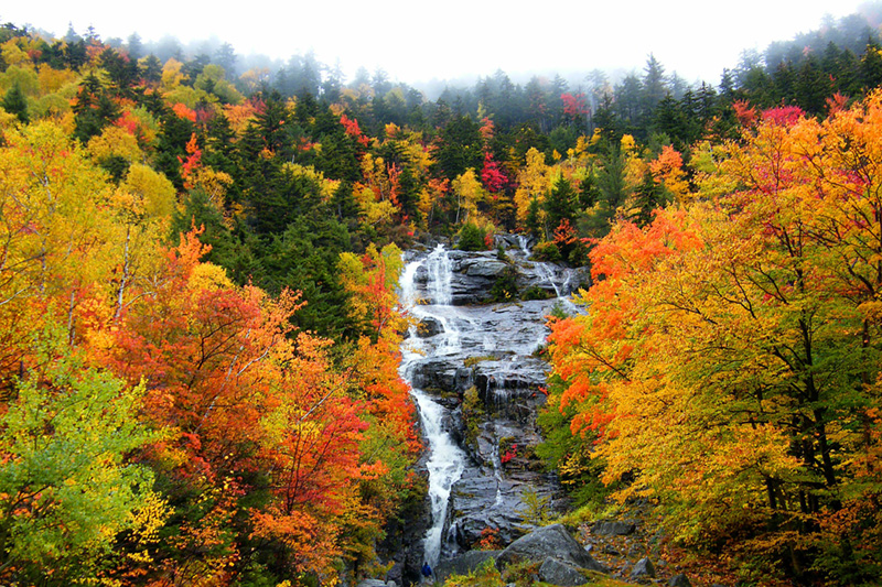 B Earthtalk fall-foliage