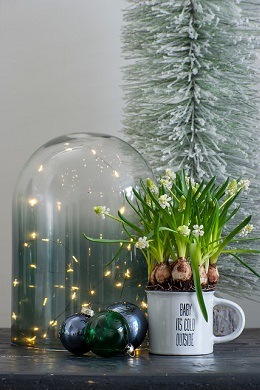 D BULB cf8d7504-9e1d-4f90-9f8d-704d4974b3a1