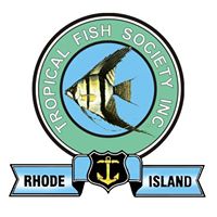 D FISH
