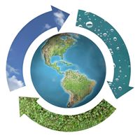 D GREENING 15492603_1649576518675853_3827427013280311877_n