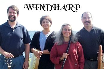 D Windharp