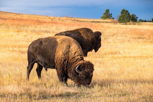 EARTHTALK: NATIONAL PARKS