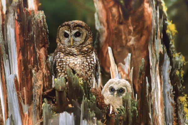 EARTHTALK:  A MOMENT FOR TRUTH