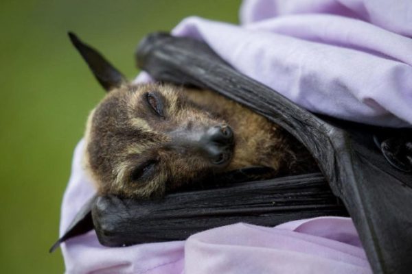 EARTHTALK: HEAT WAVES