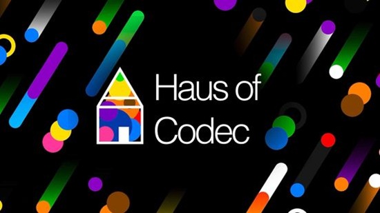 HAUS OF CODEC ART GALLERY