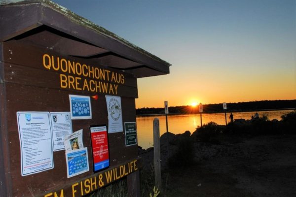 TOMAQUAG ARTIST MARKET CHARLESTOWN, RI