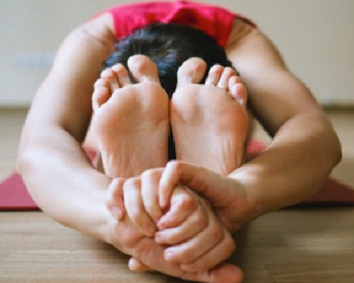 CULTURAL CENTER OF CAPE COD