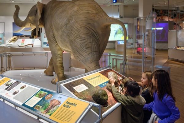 WORCESTER ECOTARIUM: THE SECRET WORLD OF ELEPHANTS