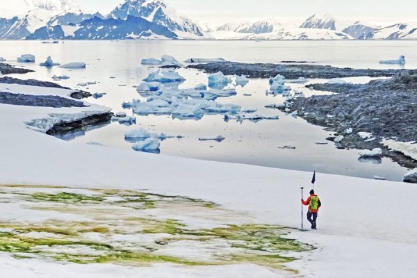 EARTHTALK: GREENING OF ANTARCTICA