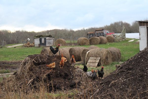 ROUND THE BEND FARM