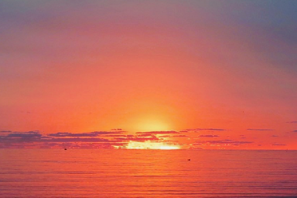 CULTURAL CENTER OF CAPE COD