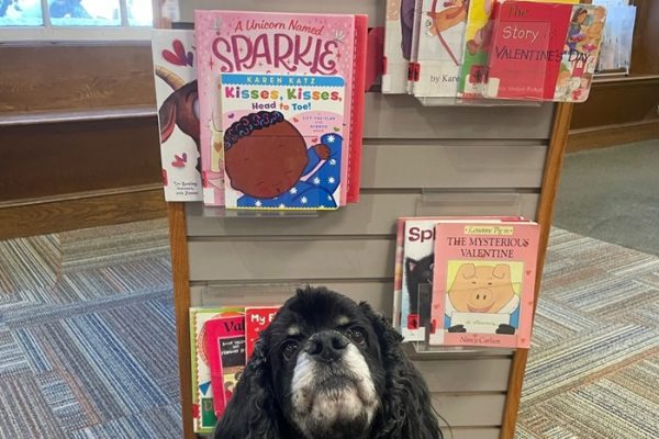 BOOK DONATIONS WELCOME