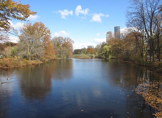 CLEANING UP THE CHARLES