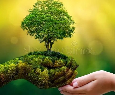 RI FOREST MANAGEMENT COMMISSION