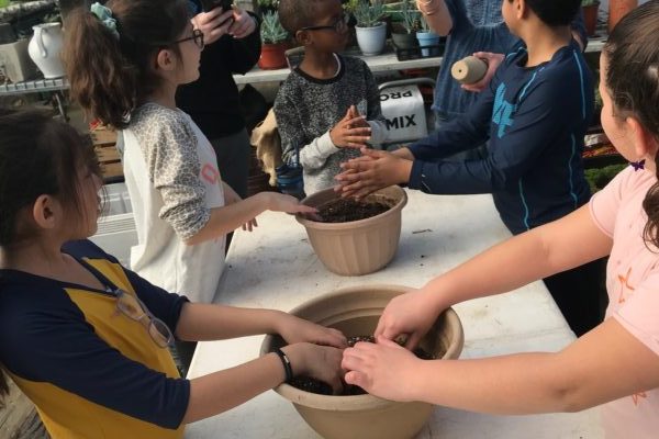 KIDS – FARM FRESH – SKYDOG FARM