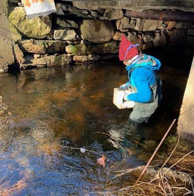 SNEP GRANTS FOR 2023