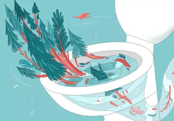 EARTHTALK TOILET PAPER