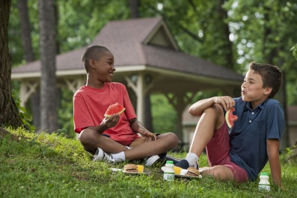 UNITED STATES DEPARTMENT OF AGRICULTURE