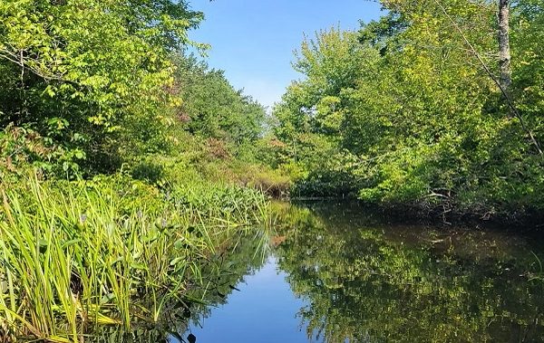 FRIENDS OF THE TEN MILE RIVER