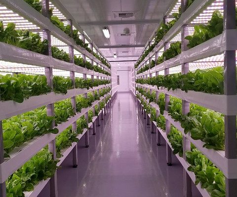 EARTHTALK – VERTICAL FARMS