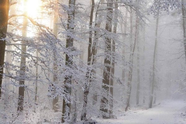 PEABODY-ESSEX MUSEUM SALEM, MA