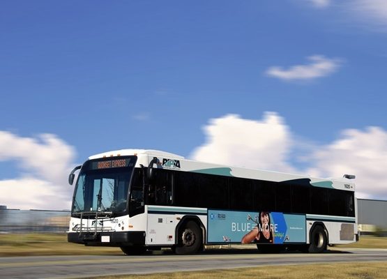 “HOW TO RIDE RIPTA”