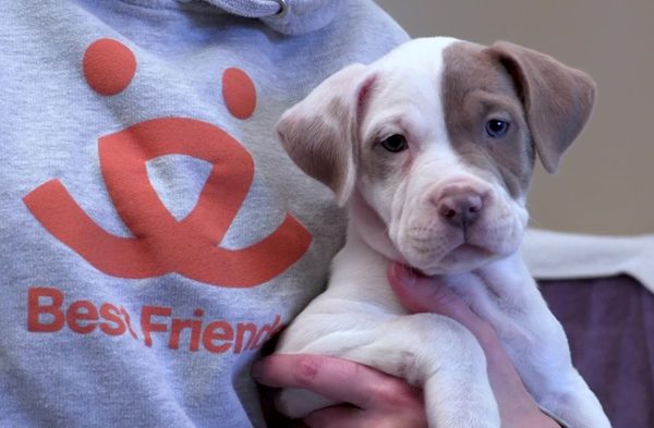BEST FRIENDS ANIMAL SOCIETY