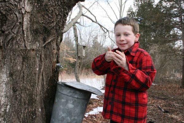 AUDUBON EARLY SPRING THINGS