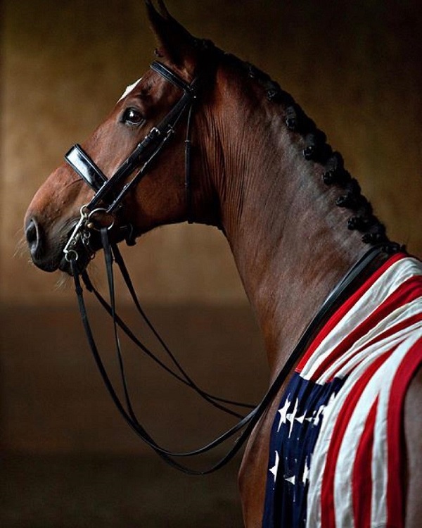 LAKE PLACID HORSE SHOWS