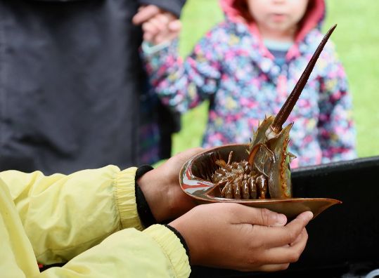 RAIN HARVEST FESTIVAL – ROGER WILLIAMS PARK