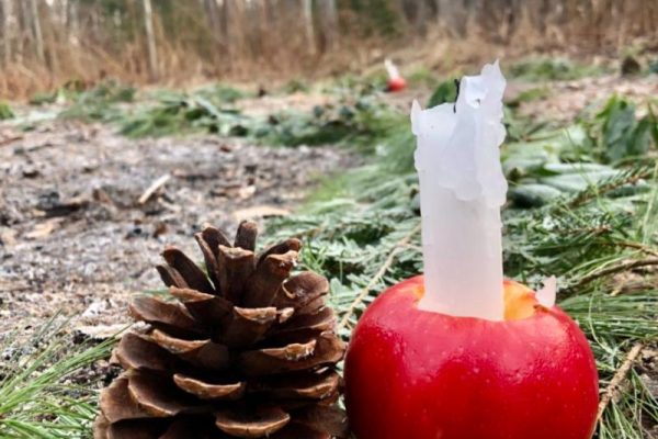 SKYDOG FARM SANCTUARY