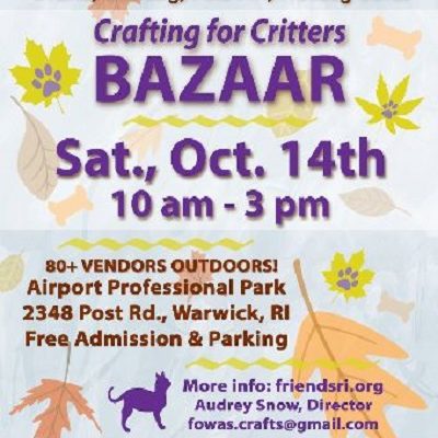 WARWICK SHELTER: CRAFTING FOR CRITTERS