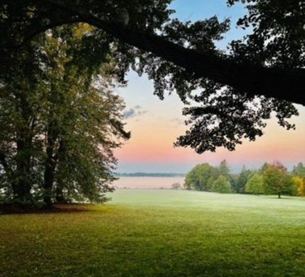 BRISTOL HISTORIC TREE WALK