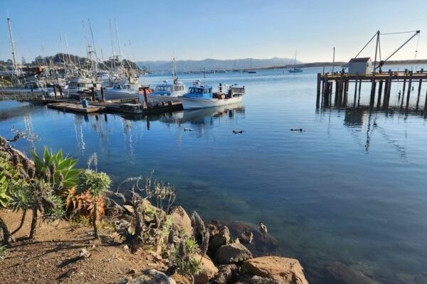 AMERICA’S ESTUARIES