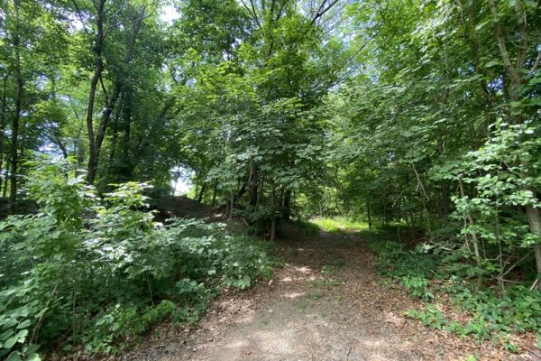 PAWTUCKET OPEN SPACE LAND GRANT