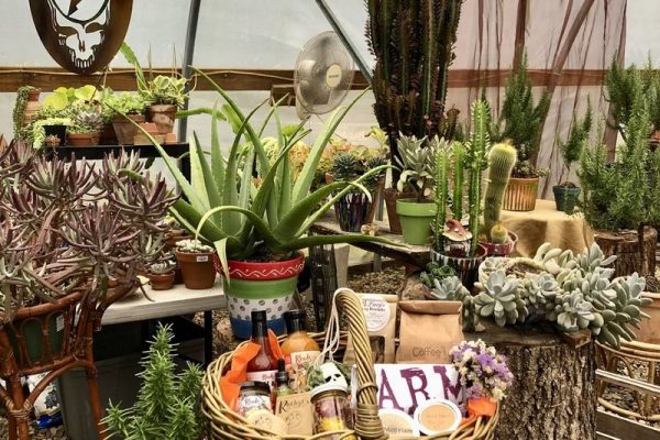 SKYDOG SILENT AUCTION