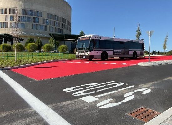 VETERANS DAY: FREE BUS SERVICE